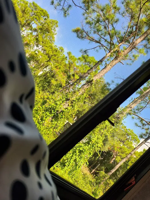 Saint George Island State Campground Picture 3