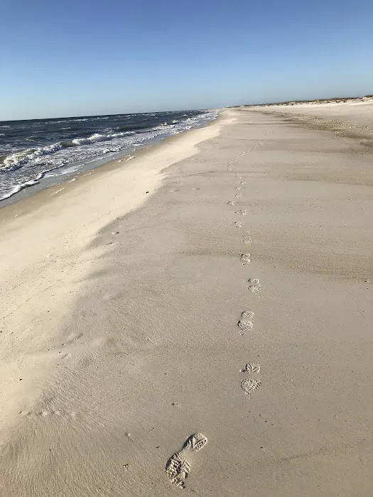 Saint George Island State Campground Picture 4