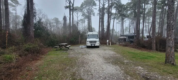 Saint George Island State Campground Picture 7