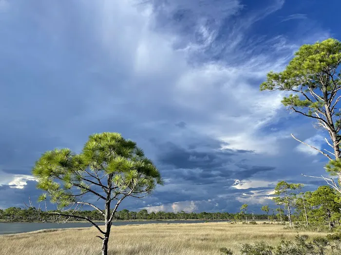 Saint George Island State Campground Picture 5
