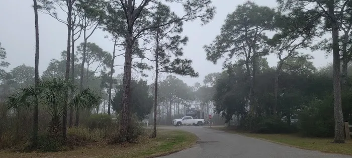 Saint George Island State Campground Picture 6