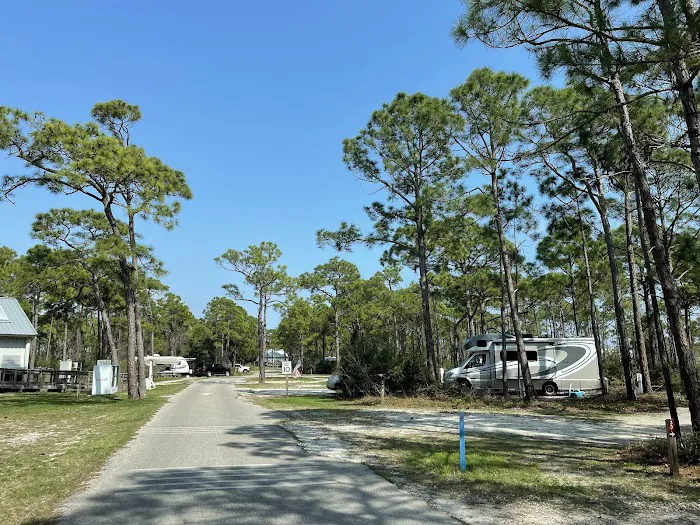 Saint George Island State Campground Picture 9