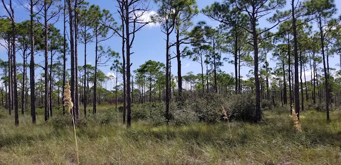 Gap Point Primitive Campsites Picture 10