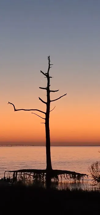 Gap Point Primitive Campsites Picture 5