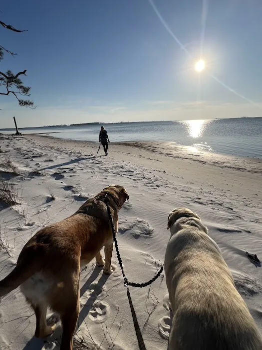 Gap Point Primitive Campsites Picture 9