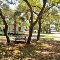 Indian Pass Campground ico