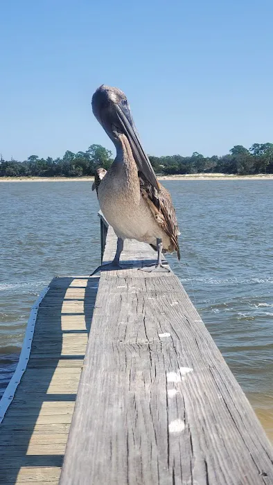 Indian Pass Campground Picture 2