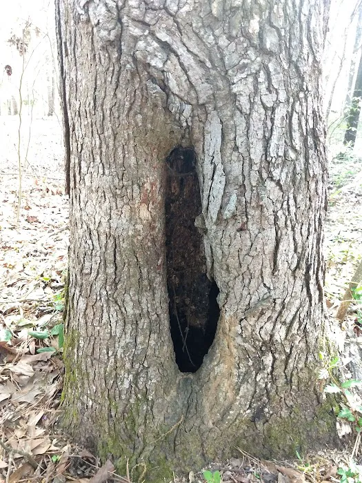 Forkland Campground Picture 6