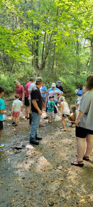Shark Tooth Creek Picture 9