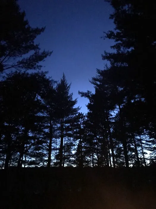 Chicago Lake Dispersed Campsite Picture 1