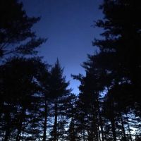 Chicago Lake Dispersed Campsite ico