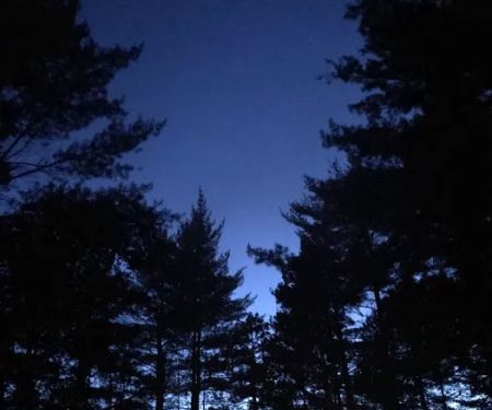 Chicago Lake Dispersed Campsite