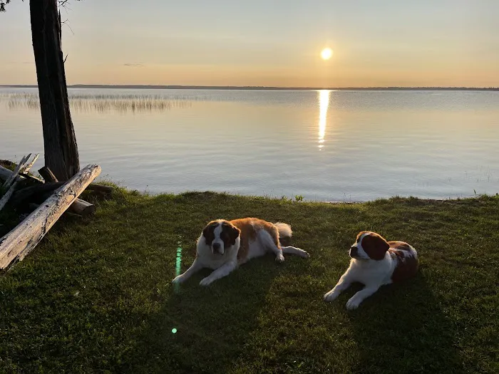 Elli's Lazy Days Resort & Camground Picture 4