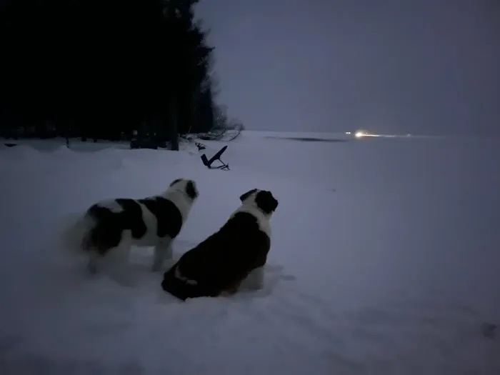 Elli's Lazy Days Resort & Camground Picture 2