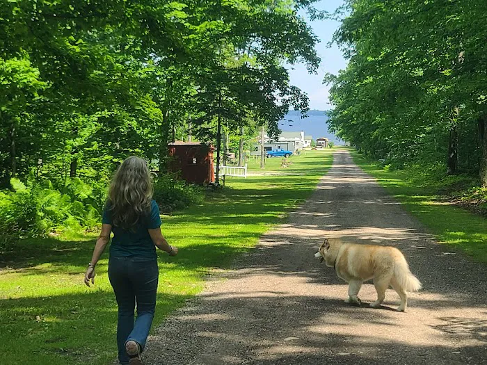 Elli's Lazy Days Resort & Camground Picture 6