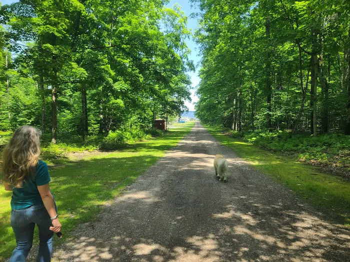 Elli's Lazy Days Resort & Camground Picture 7