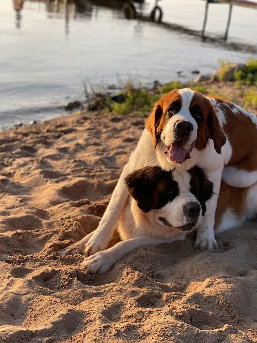 Elli's Lazy Days Resort & Camground Picture 8