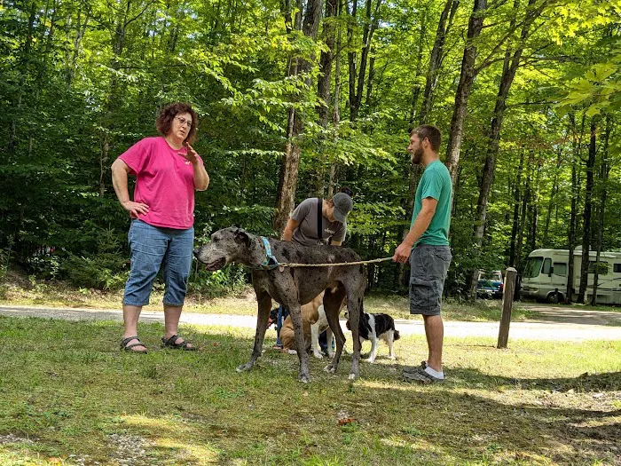 West Shore Campground - Indian Lake State Park Picture 7