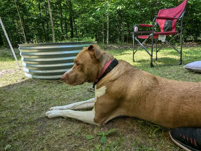 West Shore Campground - Indian Lake State Park Picture 6