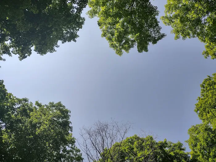 West Shore Campground - Indian Lake State Park Picture 8