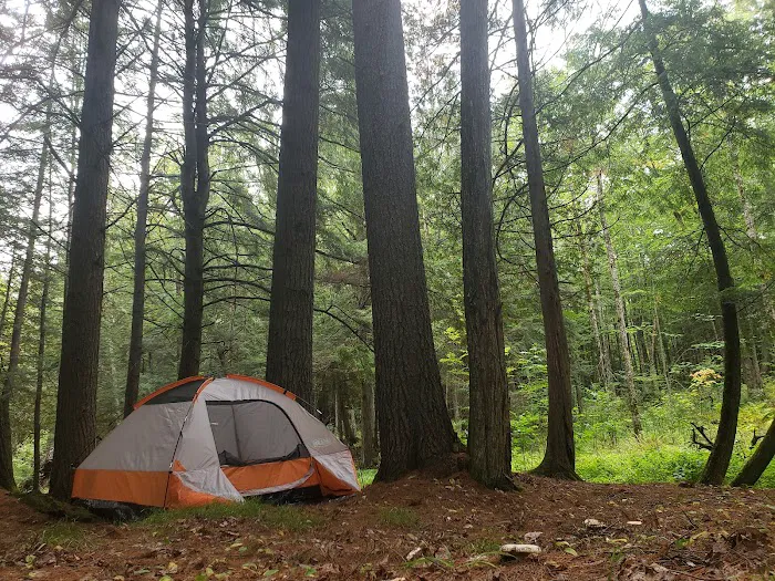Haymeadow Creek Campsite Picture 1