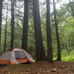 Haymeadow Creek Campsite