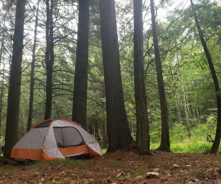 Haymeadow Creek Campsite