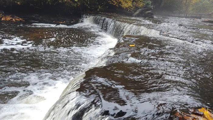 Haymeadow Creek Campsite Picture 7