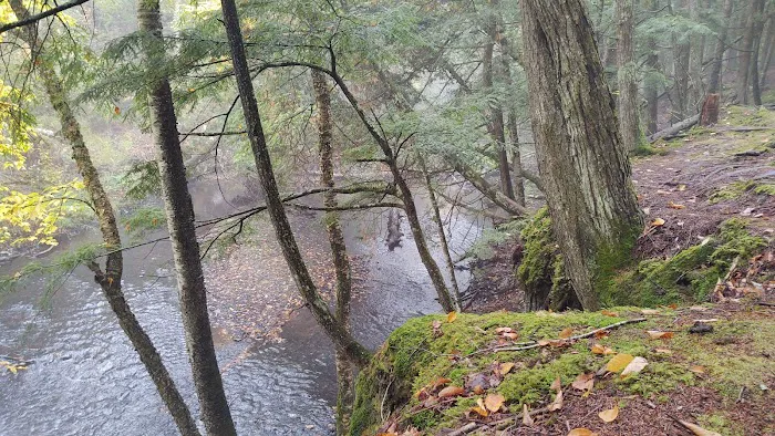 Haymeadow Creek Campsite Picture 3