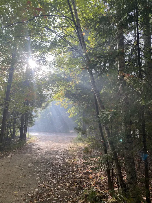 Frontier Wilderness Campground Picture 4