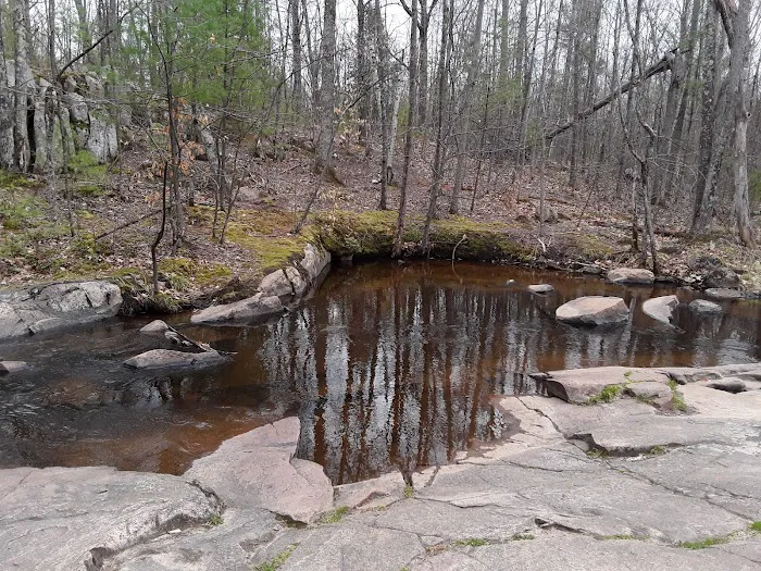 Chute Pond Park & Campground Picture 7