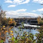 Chute Pond Park & Campground