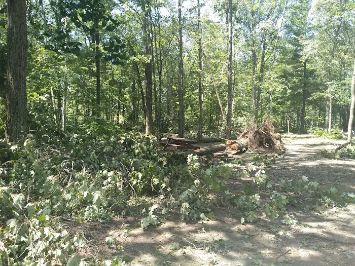 Chute Pond County Park Campground Picture 7