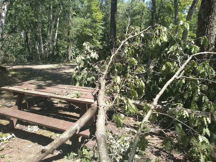 Chute Pond County Park Campground Picture 1