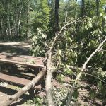 Chute Pond County Park Campground
