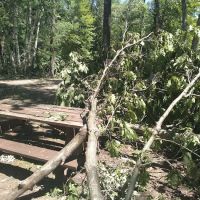 Chute Pond County Park Campground ico