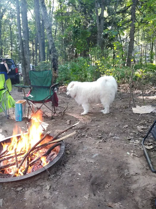 Chute Pond County Park Campground Picture 9