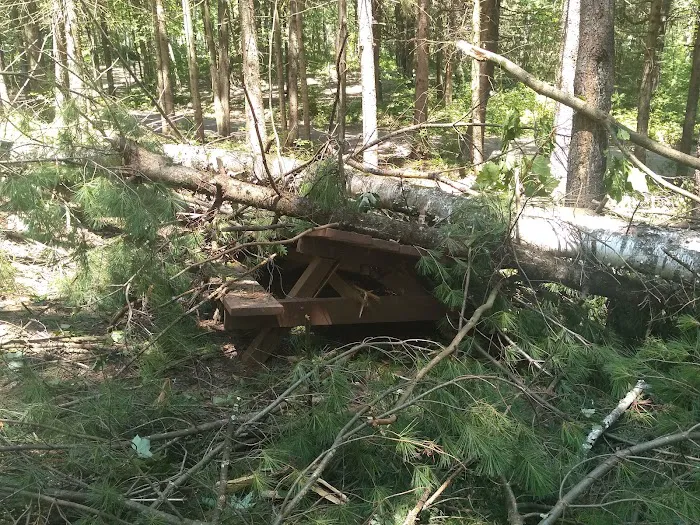 Chute Pond County Park Campground Picture 5