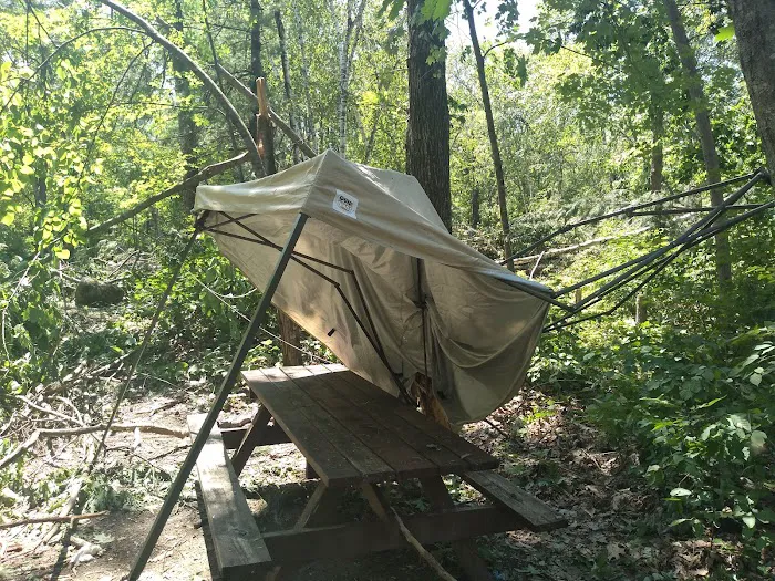 Chute Pond County Park Campground Picture 3