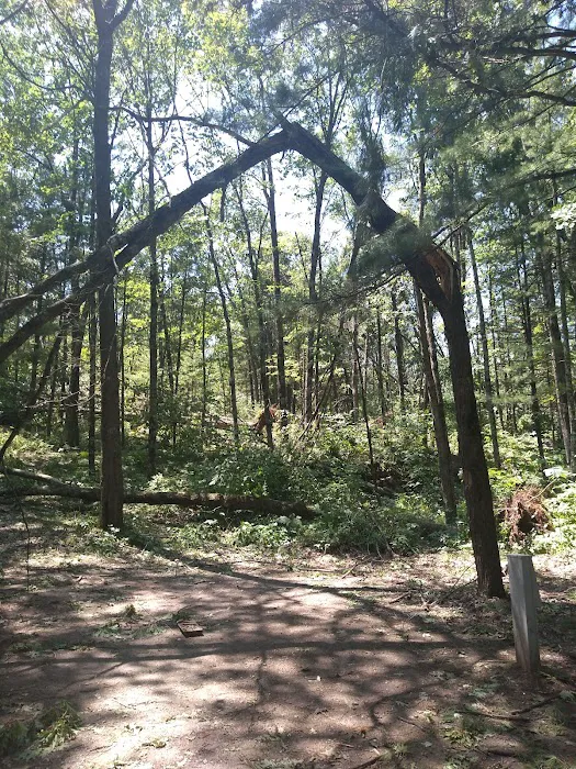 Chute Pond County Park Campground Picture 8