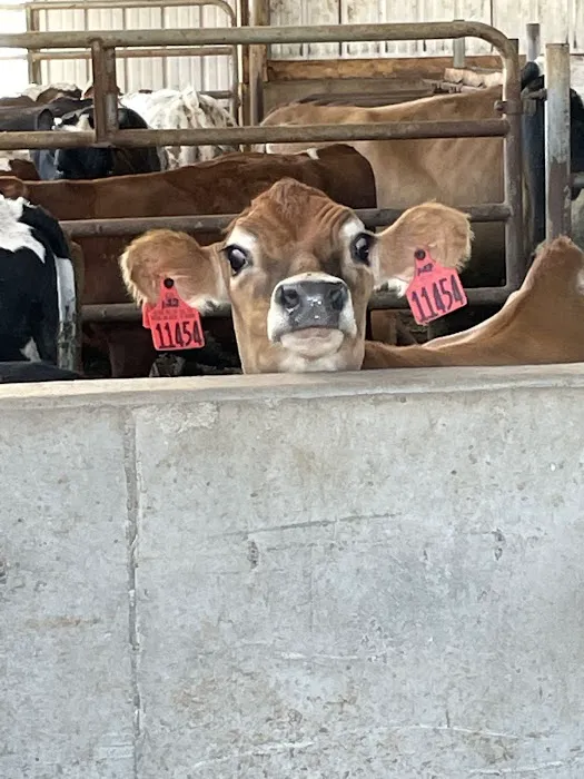 Schwittay Farms Harvest Host Picture 4