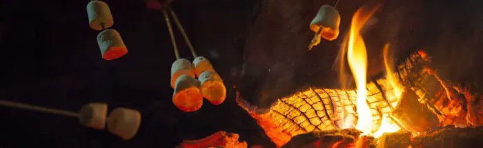 Diamond Lake Campground Picture 2