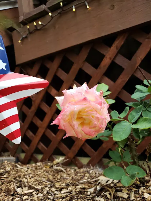 Outdoor Adventures Campground Picture 6