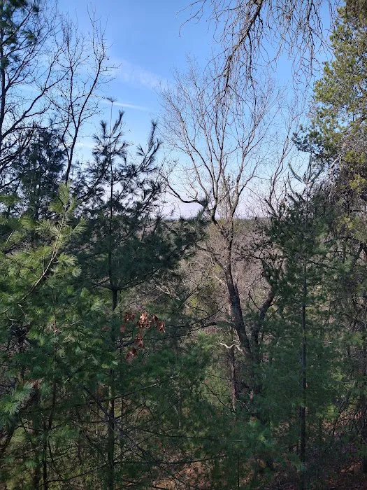 Wildcat Mound Park Picture 7