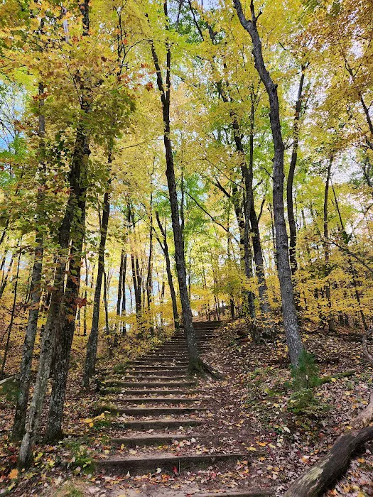 Wildcat Mound Park Picture 5