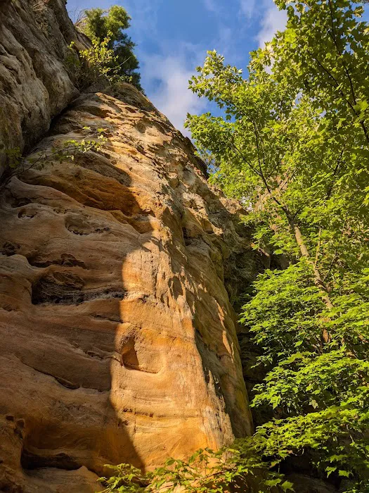 Wildcat Mound Park Picture 4