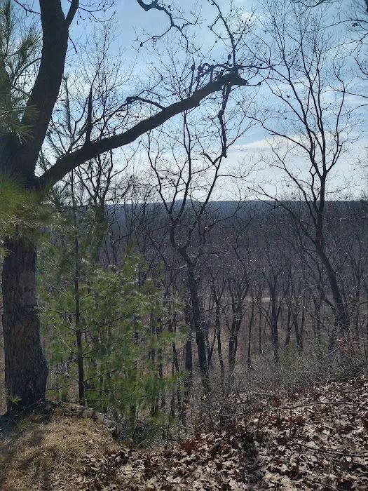 Wildcat Mound Park Picture 10