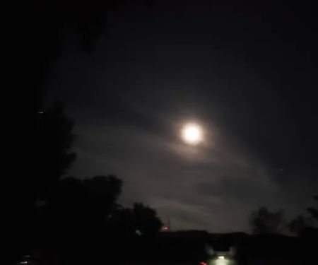 Tower View Campground