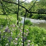 Lost Arrow Campground (55+ seasonal campsites)