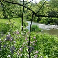 Lost Arrow Campground (55+ seasonal campsites) ico